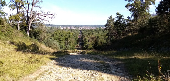 Panorama depuis le Petit Mont Chauvet