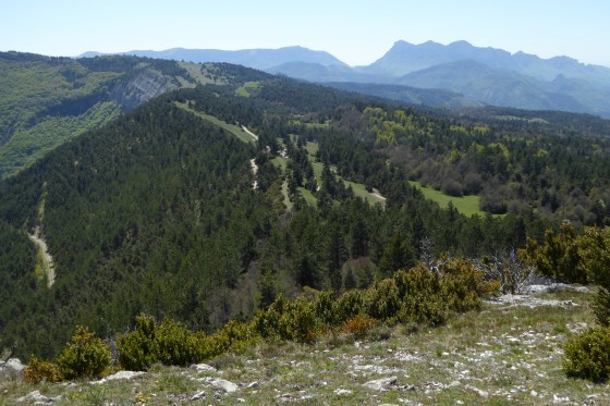 Panorama depuis le plateau de Serre Chauvière