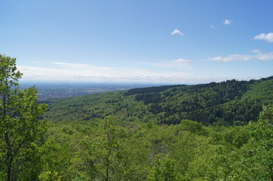Panorama depuis le rocher du Hirtzenstein