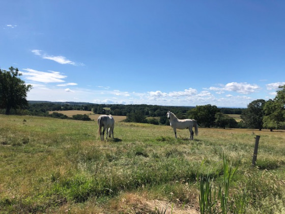 Panorama des Pics