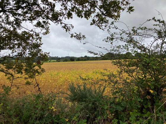 Panorama dor&eacute;