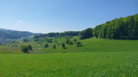 panorama du départ