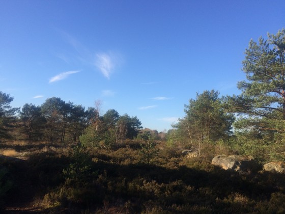 Panorama du Laris Qui Parle