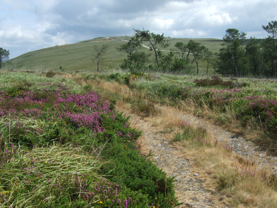 Panorama du Ménez-Hom
