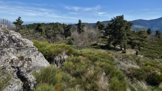 panorama du sommet