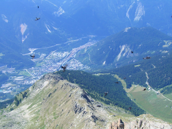 Panorama du sommet