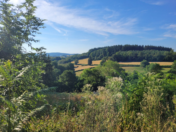 panorama en chemin