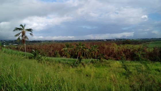 Panorama en début de randonnée