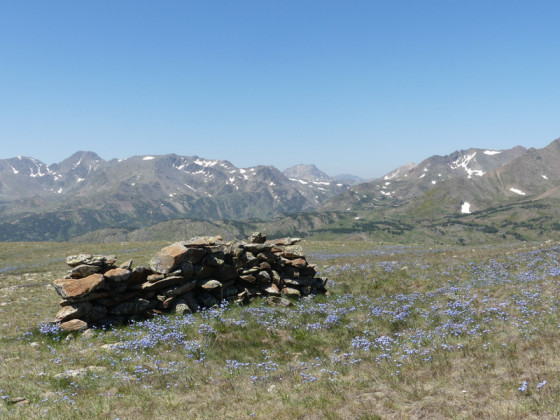 Panorama fleuri