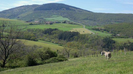 Panorama lors de la montée