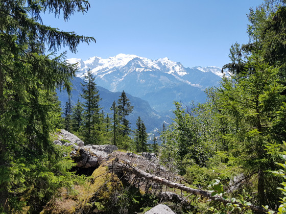 panorama mont blanc