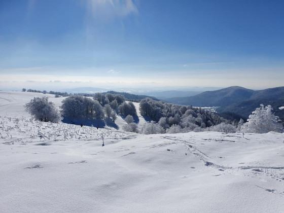 Panorama Sud depuis le Wissgrut