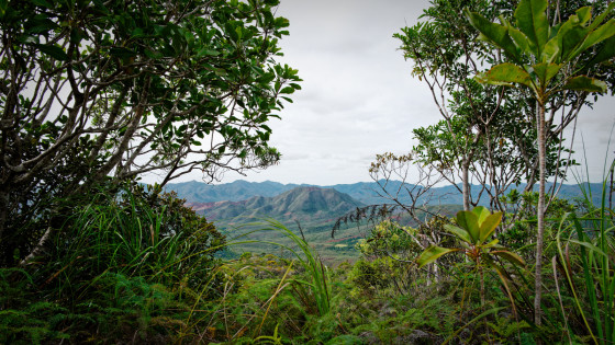 Panorama sud-est