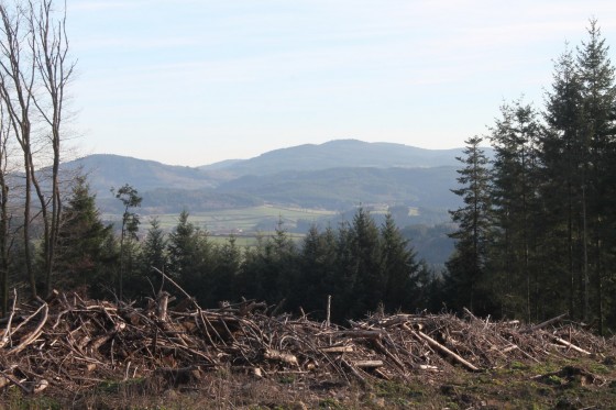 Panorama sud vers le Mont St Rigaud (1010m).