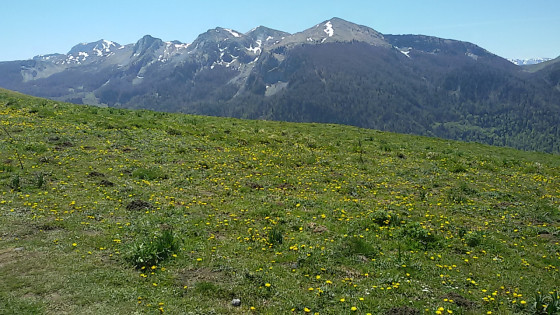 Panorama SUD
