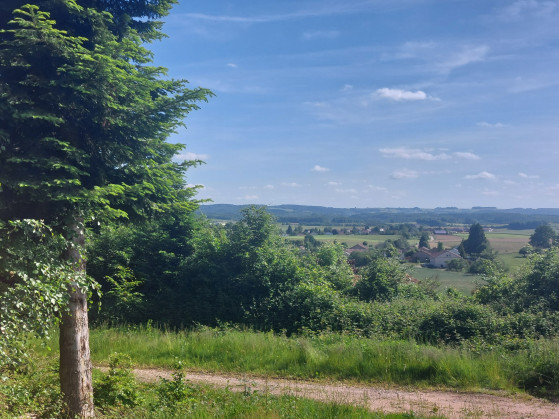 Panorama sur dounoux