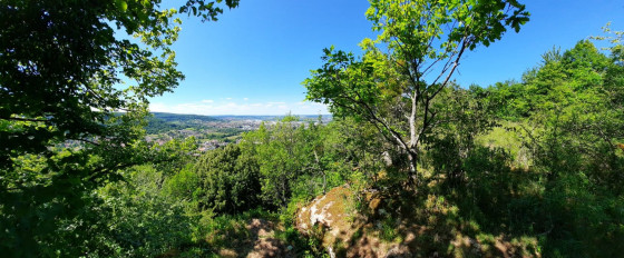 Panorama sur Echenoz et Vesoul
