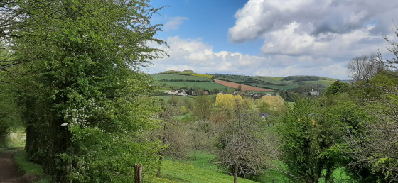 Panorama sur la campagne