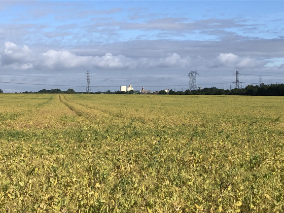 Panorama sur la plaine avec l\'ancienne sucrerie de Cagny en arrière-plan