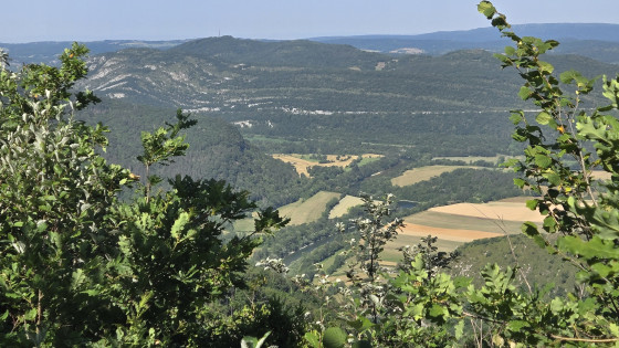 Panorama sur la rivière de l'Ain