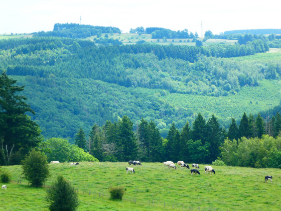 Panorama sur la Vallée de l'Ourthe et le Plateau de Bastogne