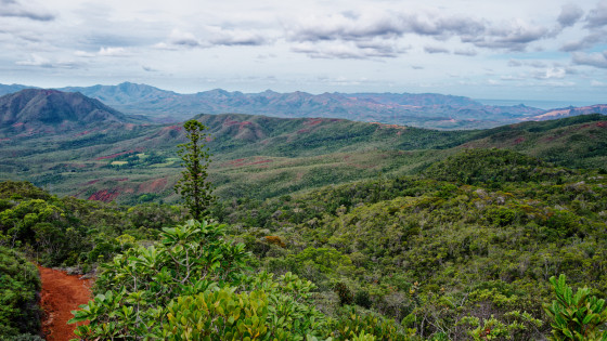 Panorama sur la vallée de la rivière blanche