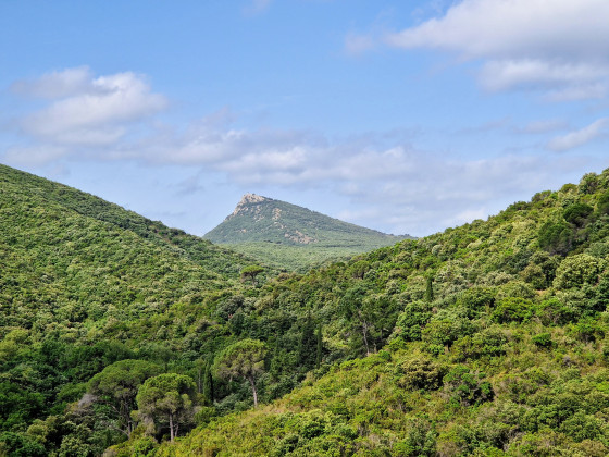 Panorama sur le Pic du Vissou