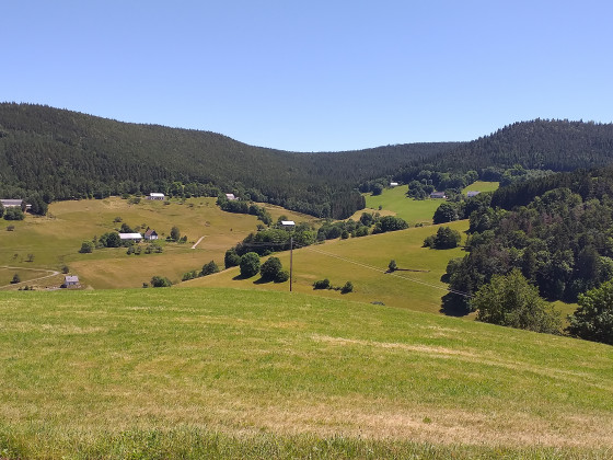 Panorama sur les environs d'Orbey