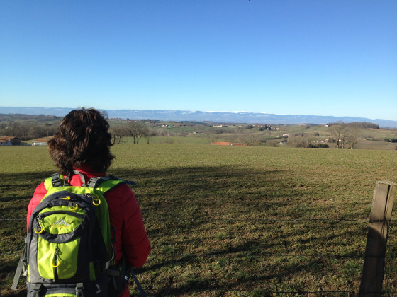 Panorama sur les monts du Forez