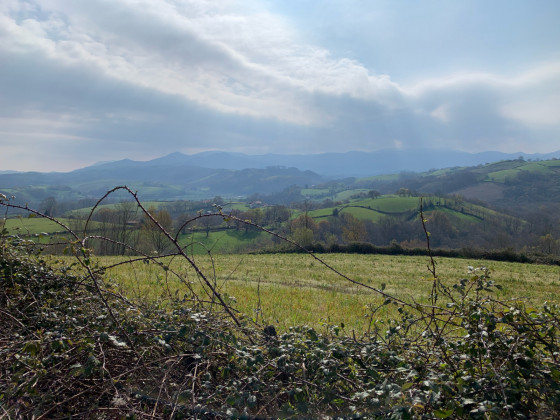 Panorama sur les Pyrénées
