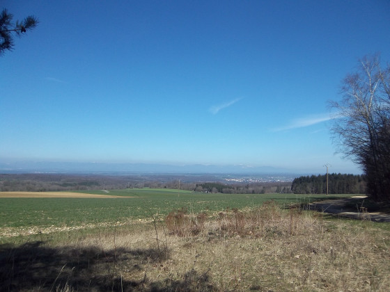 Panorama sur les Vosges