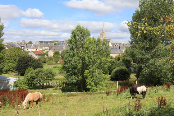 panorama sur Montebourg