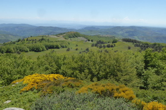 Panorama Est
