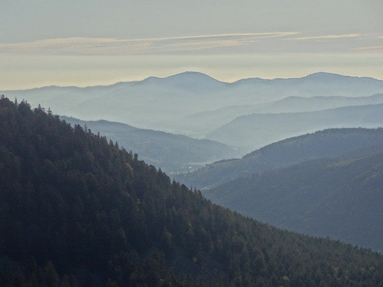 Panorama