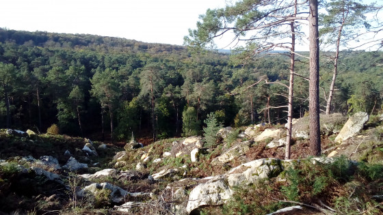 Panorama