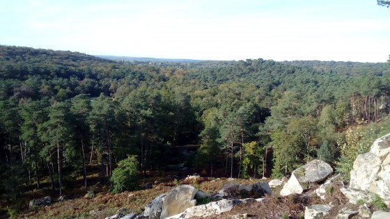 Panorama
