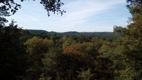Panorama
