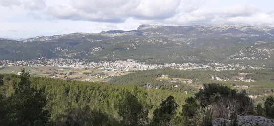 panorama