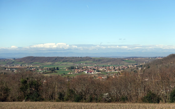 Panorama