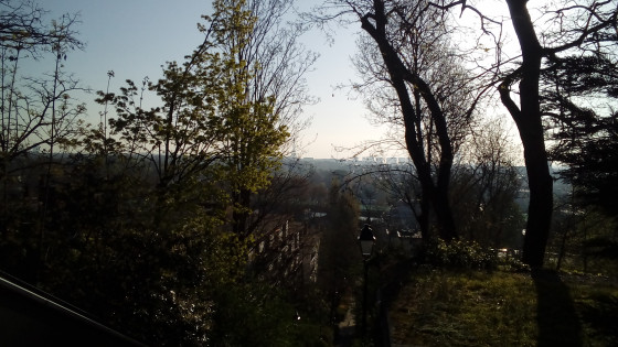 Panorama