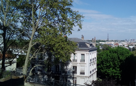 Panorama