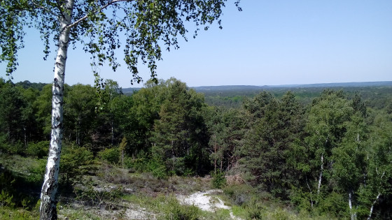 Panorama
