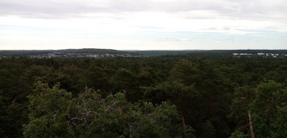 Panorama
