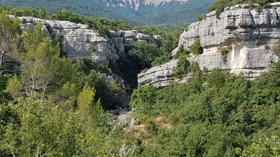 Panorama