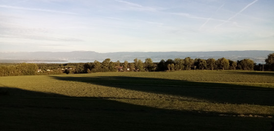 Panorama