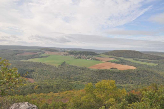 Panorama