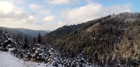 Panorama