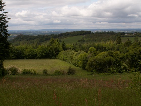 Panorama