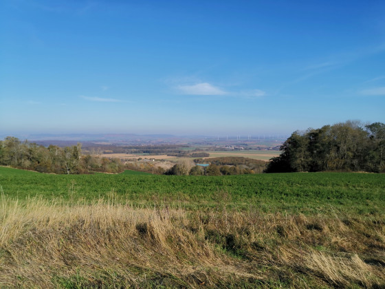 Panorama