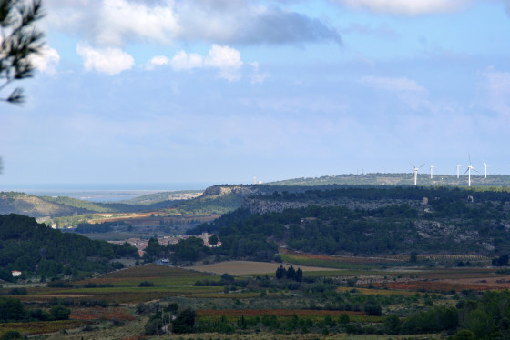 panorama